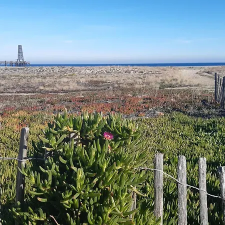 Appartement Bel T2 Proche à Leucate, Terrasse, Parking, 4 Pers. - Fr-1-798-15 Leucate