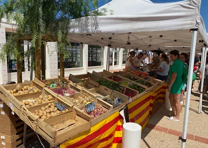 Bel T2 Proche à Leucate, Terrasse, Parking, 4 Pers. - Fr-1-798-15 Apartamento Leucate